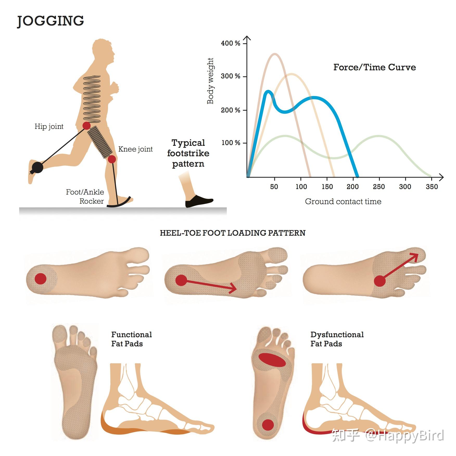 关于跑步 walk, jog, run, sprint - 知乎