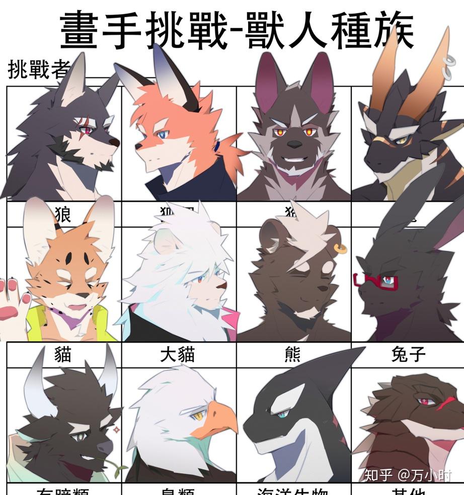 怎样画好一份兽设? - 知乎