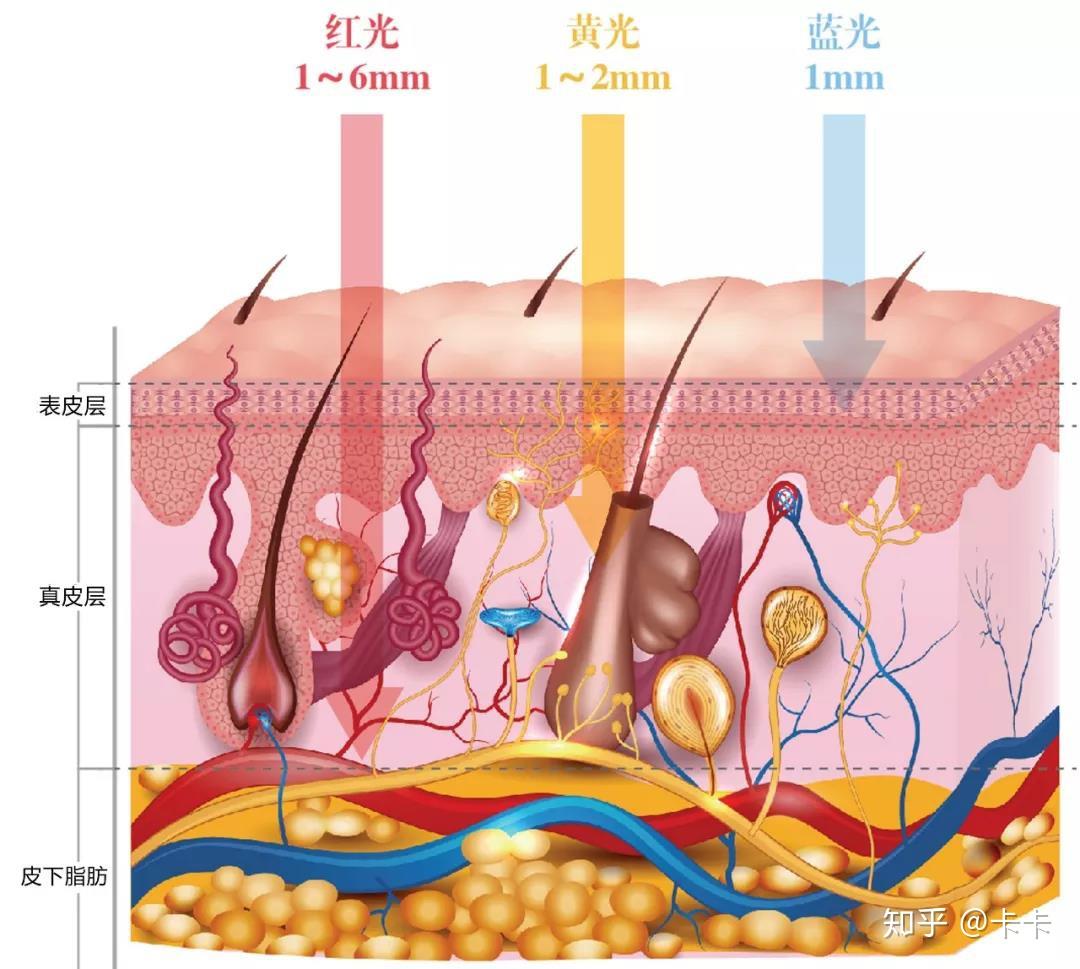 led红蓝光动力的原理是什么? - 知乎