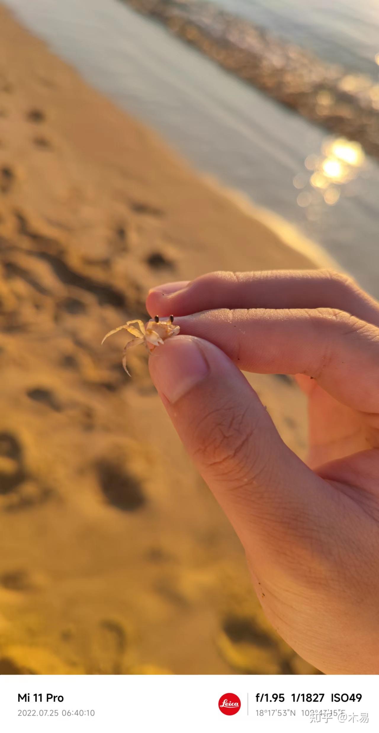 三亚七天六晚游记