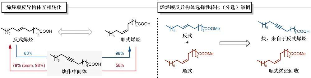 北京大学最新Nature论文：焦宁团队唤醒尘封百年试剂，为炔烃制备及新药研发奠定基础 - 知乎