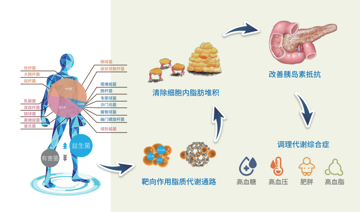 糖尿病的起因 知乎