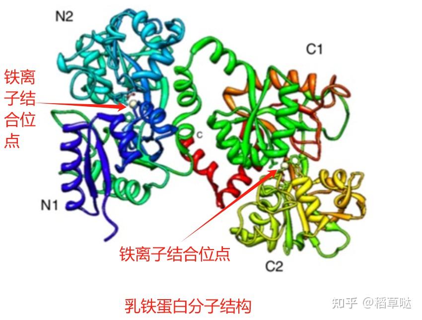 身体素质差的宝宝适合什么奶粉?为什么乳铁蛋白对宝宝来说那么重要? - 知乎
