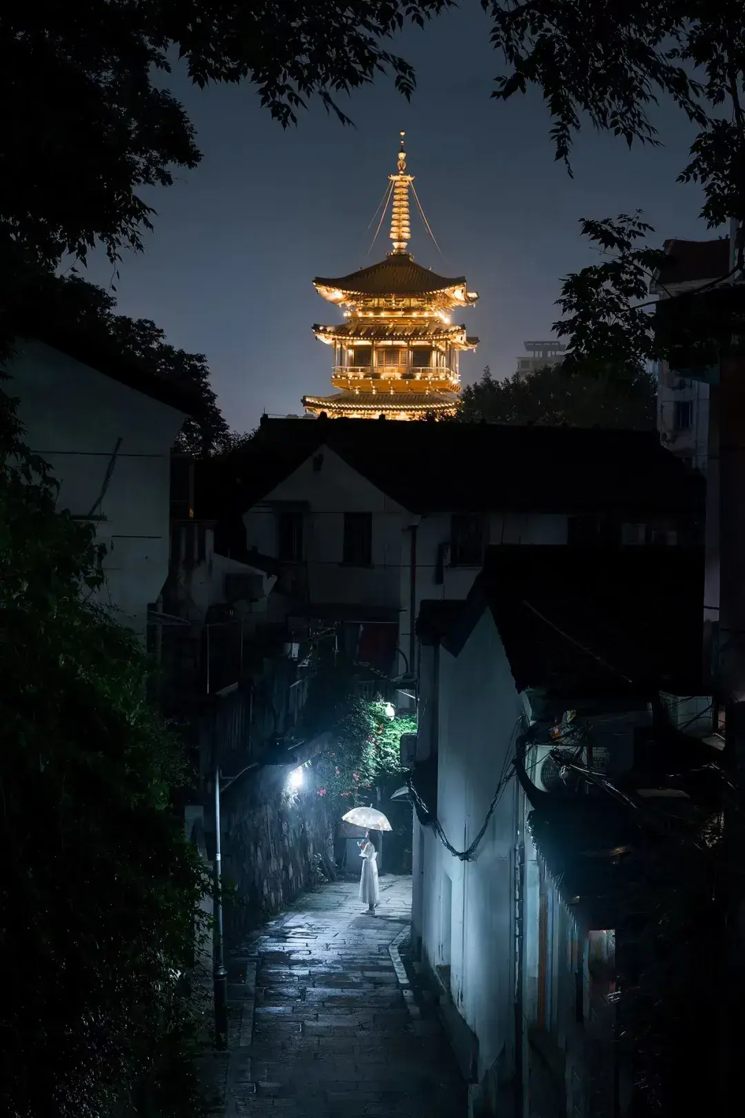 浙里寻奇·追潮汐树奔涌，瞰神仙居奇峰，绘小箬村彩韵，赏茗岙梯田千层浪7天6晚航拍教学精品团