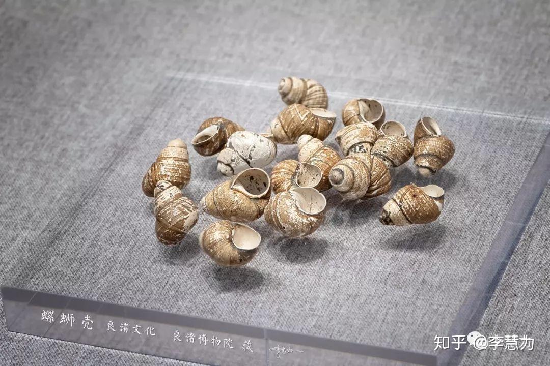博物馆里的良渚文物(二) - 知乎