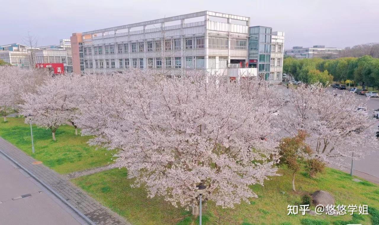南京工程学院校园环境怎么样