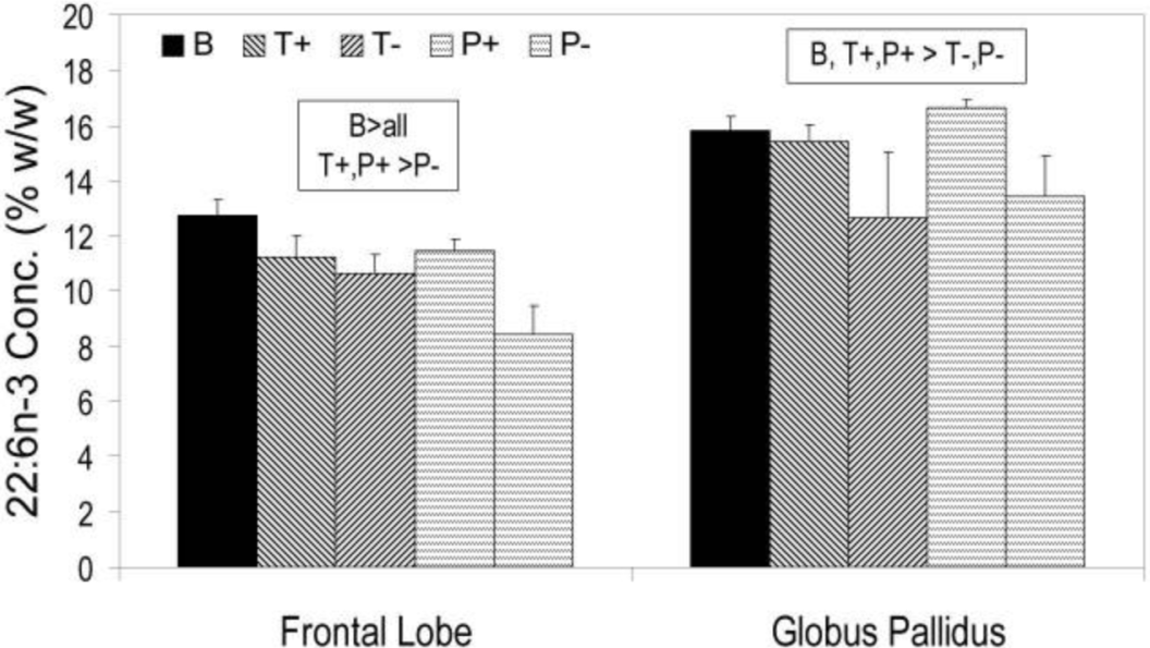 不能被忽视的提高记忆力，DHA是真有用（dha真的可以促进孩子增强记忆力吗）