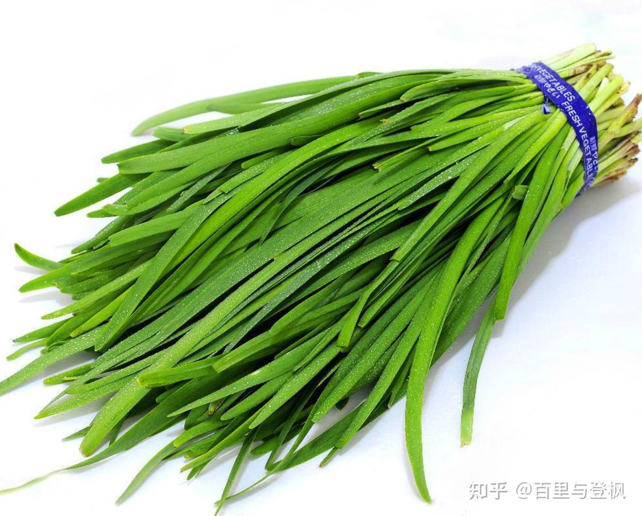 我们身边的中草药-韭菜 - 知乎