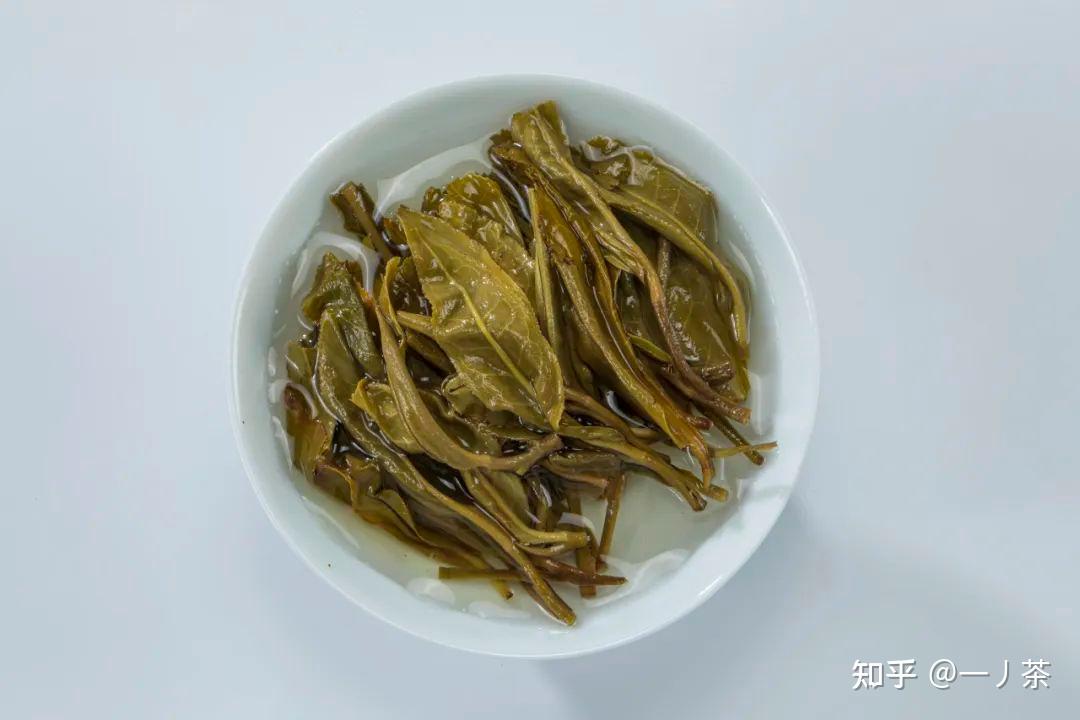 普洱生茶茶汤颜色图片