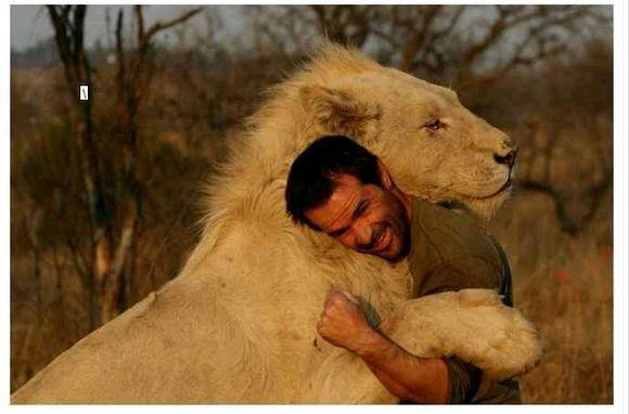 为什么我觉得狼给人的压迫感大于老虎和狮子? - 知乎