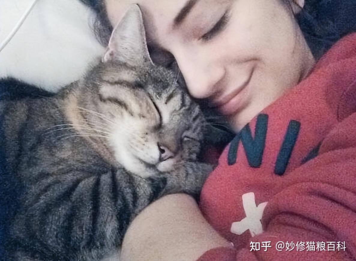 猫咪跟主人睡觉常有的姿势你家猫是啥样的