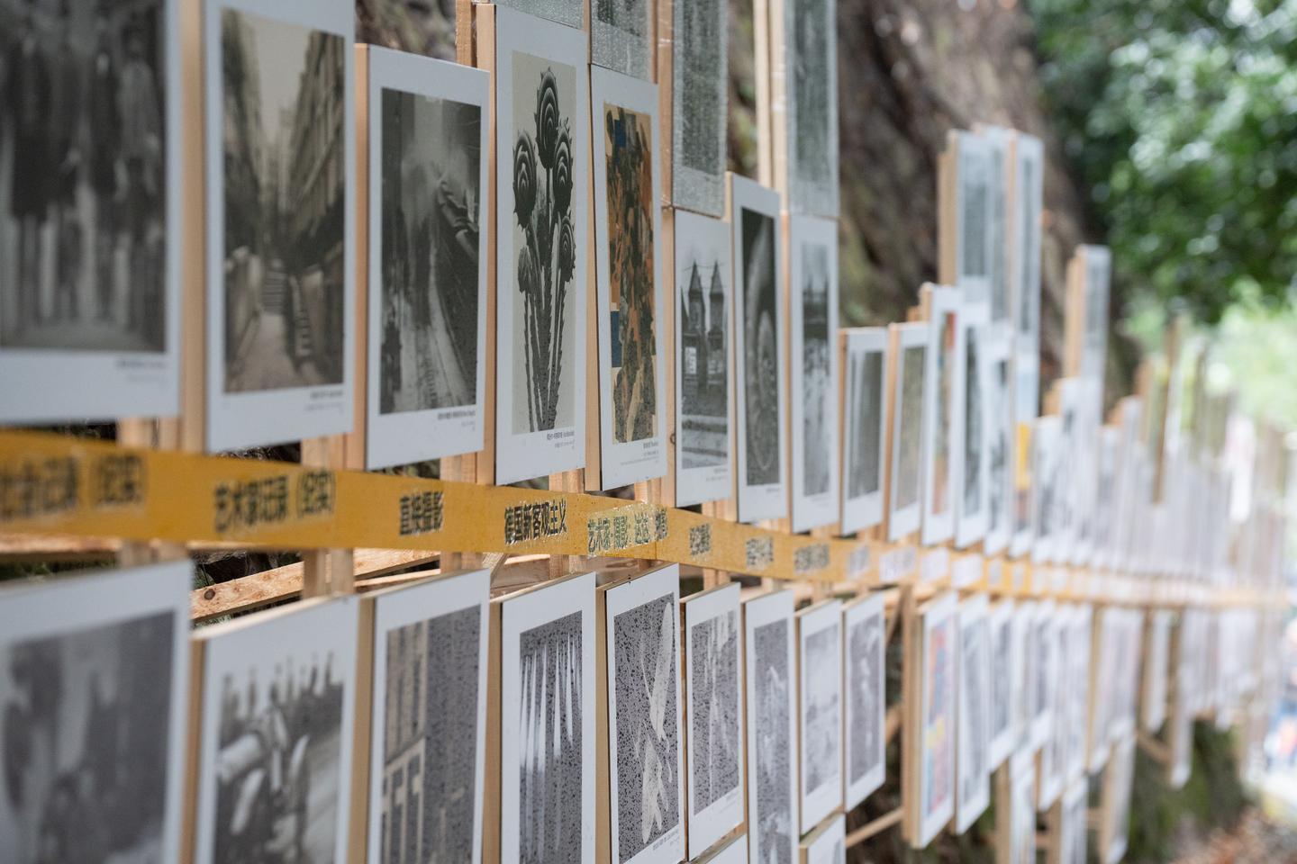【见微知著】2023丽水摄影节——放射性:13人摄影展(21号馆)——不完全解析 - 知乎