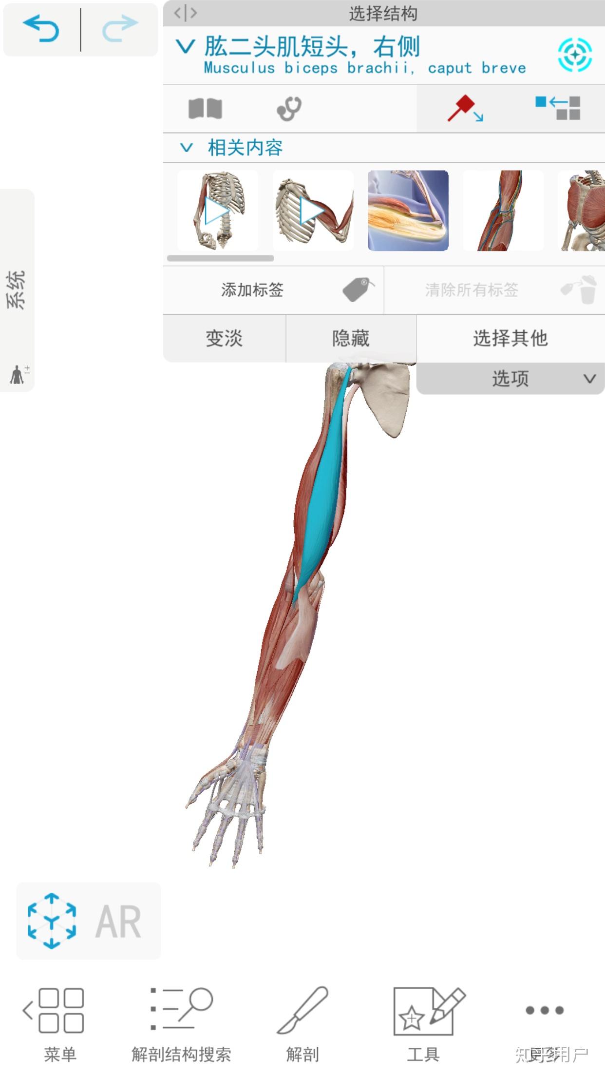 最详细肌肉拉伸教程四：手臂拉伸 - 知乎