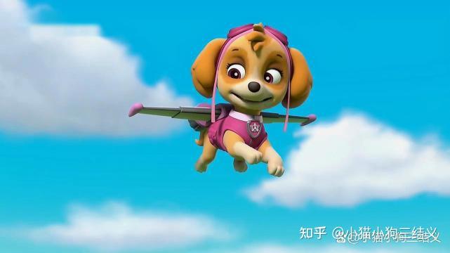 汪汪队立大功动画片里面狗的名字和品种