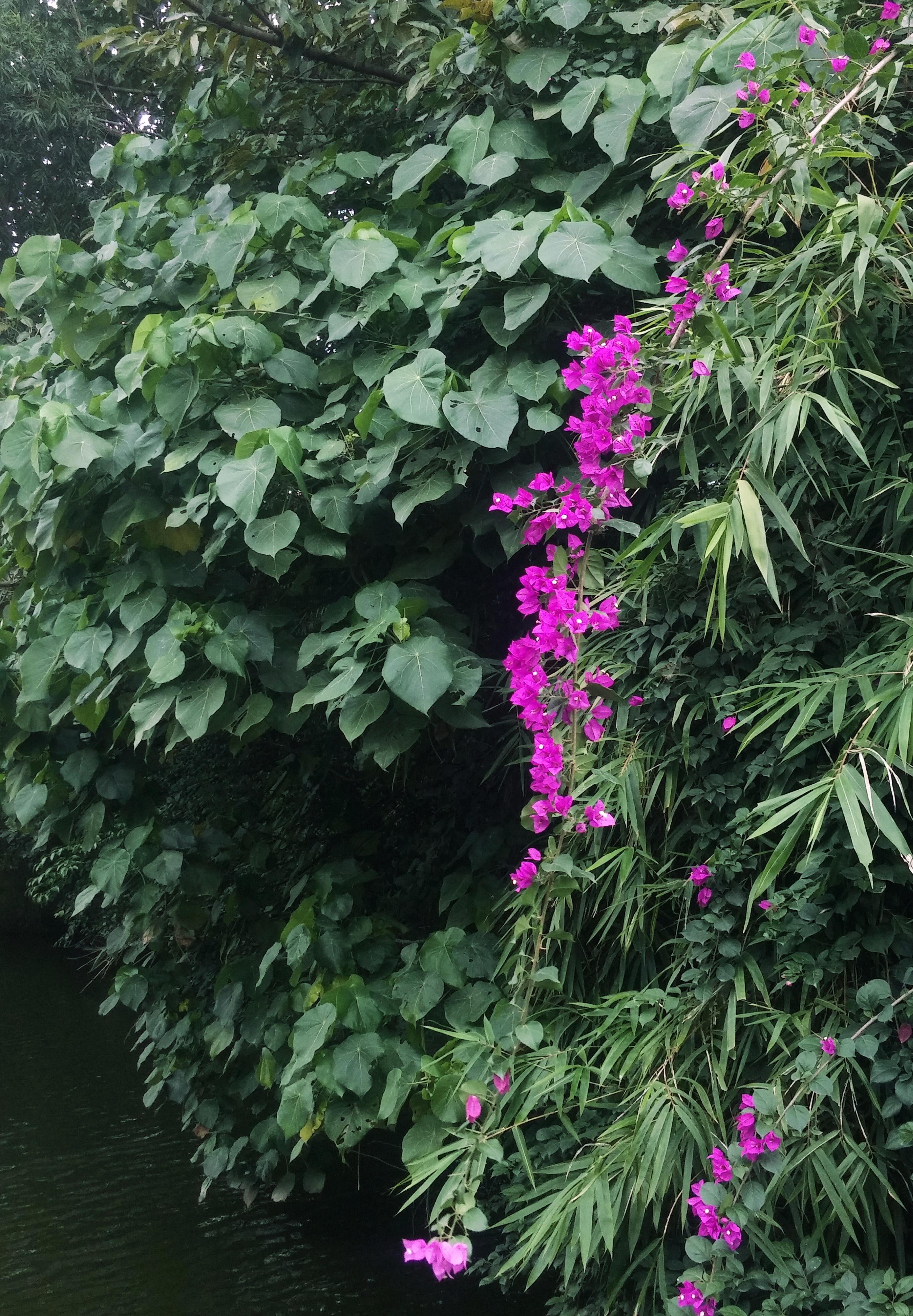 华为徕卡双镜头拍出来的 德味 体现在哪里?