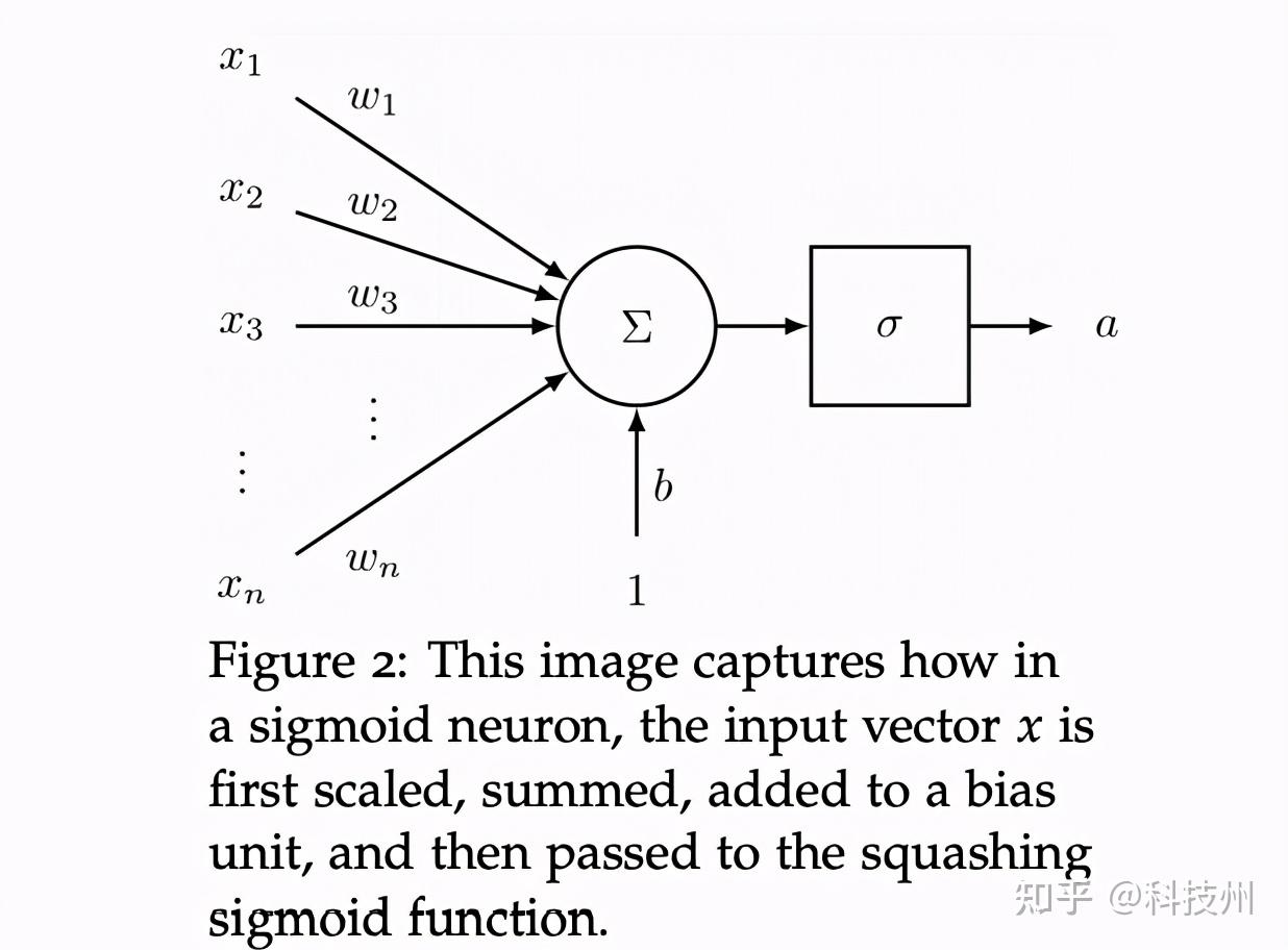 反向传播 zhuanlan.zhihu.com