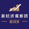 新经济观察团