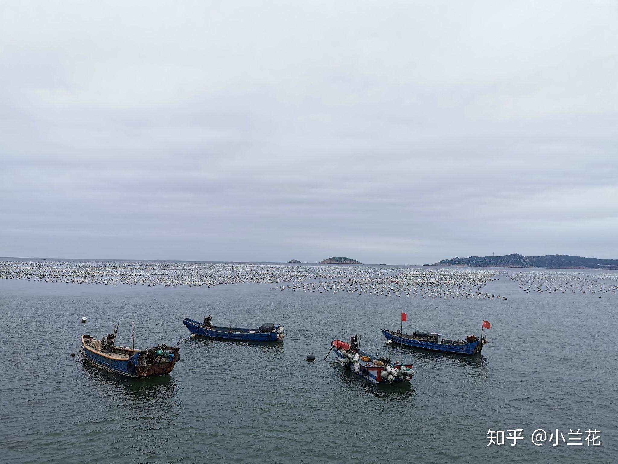 舟山枸杞島 - 知乎