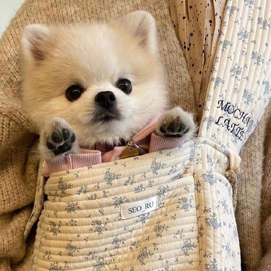 有没有小众又有趣的微信头像