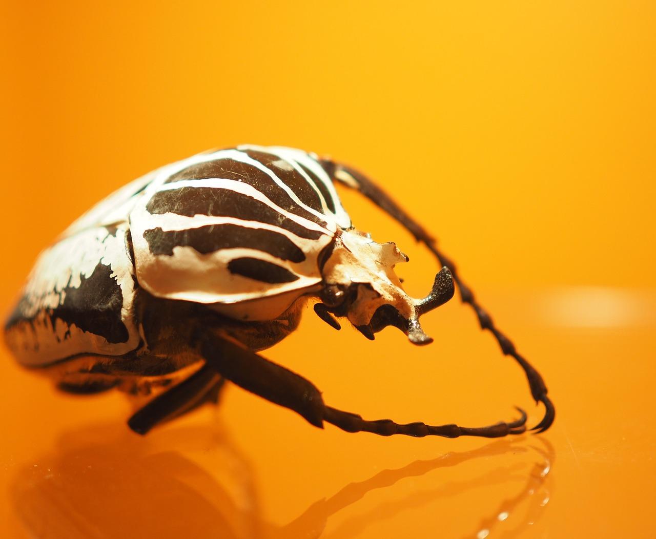 4. 防煞风水物品