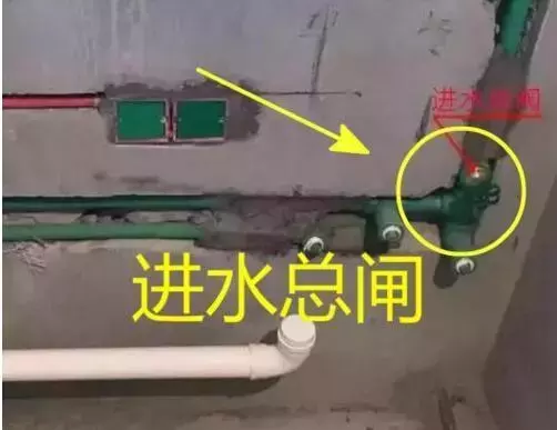 v2-2c160aaee1b829d86e571a45a4338734_r.jpg