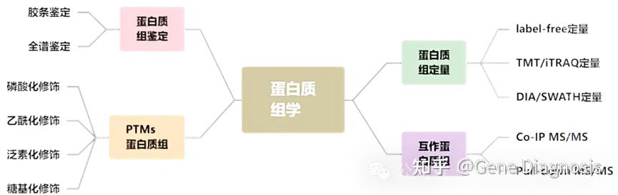 多组学的概念与分类介绍(上) - 知乎