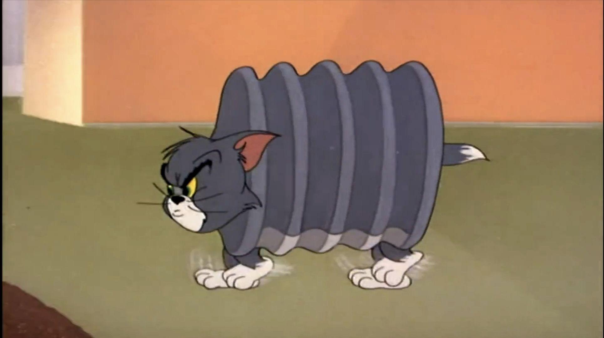 猫和老鼠-各种形状的猫和鼠 - 知乎