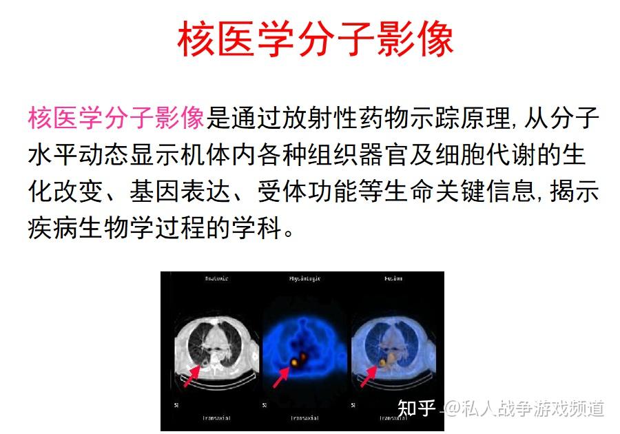 核医学 核医学总论 PPT课件 - 知乎