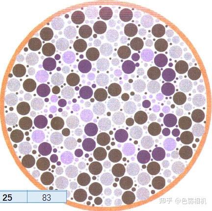 色弱测试图及答案 王克长第二版 驾考,体检,征兵专用