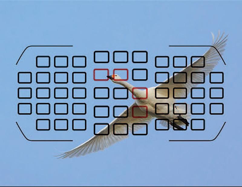 把这种对焦模式和连续自动对焦搭配使用,相机的焦点就能不停变换