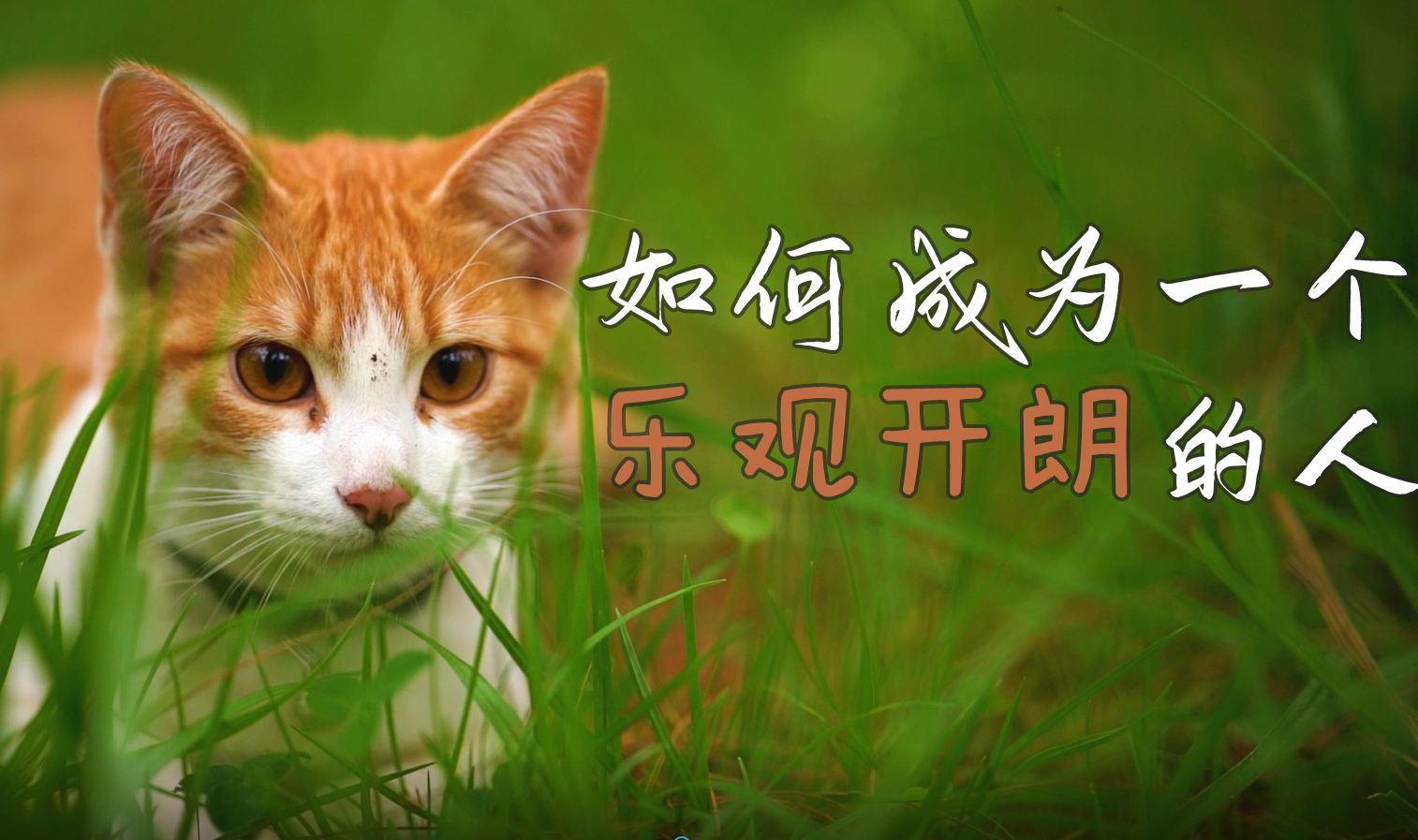 乐观的悲观主义者