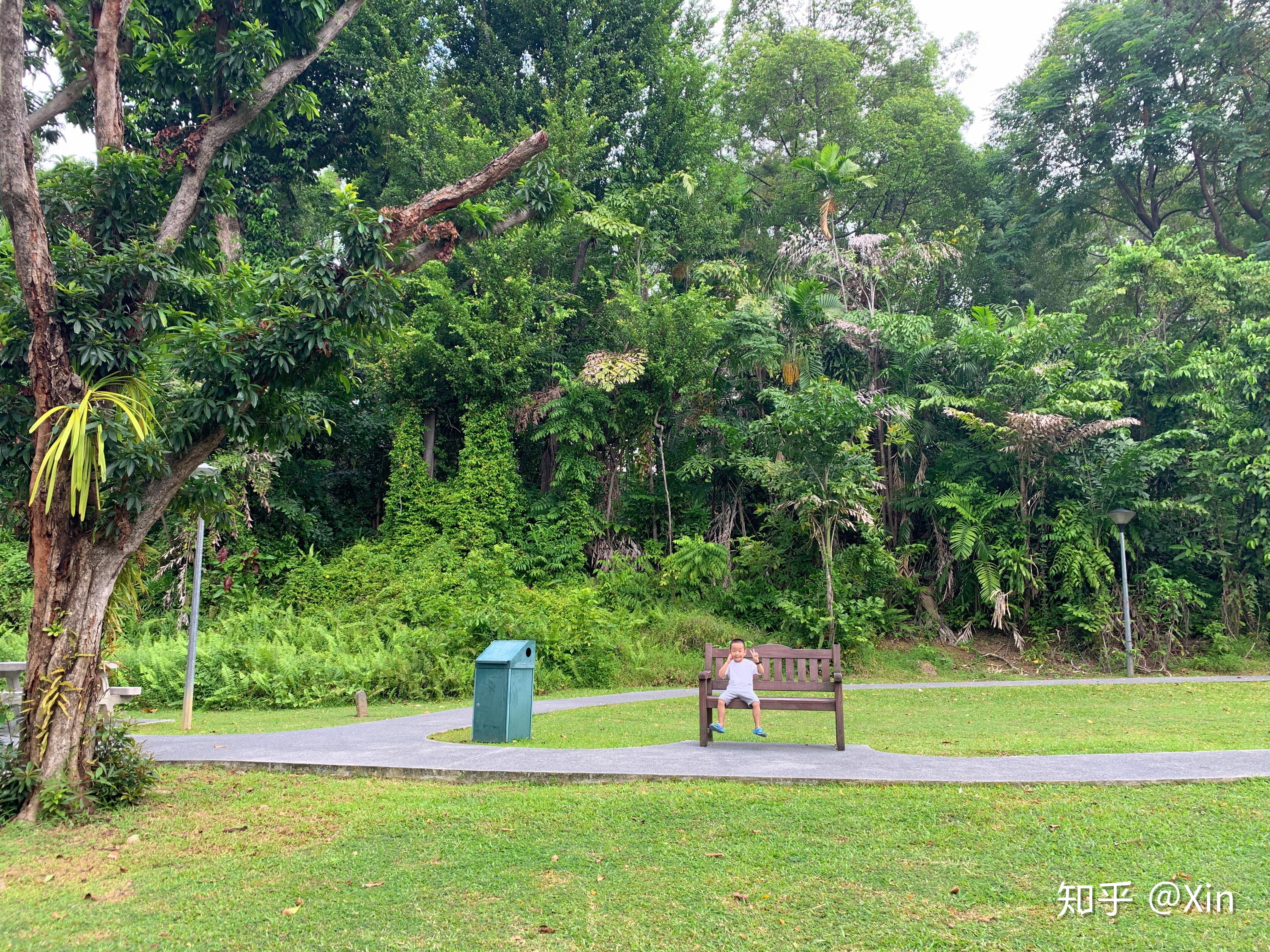 新加坡大巴窑市镇公园 Toa Payoh Town Park - 知乎