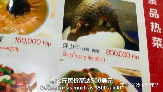 武汉肺炎祸起野味历史的悲剧再次重演