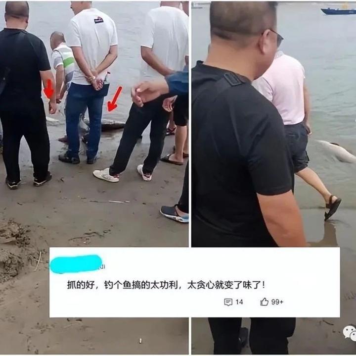 湖北一男子钓获两条大青鱼，转眼就被渔政带走，原因竟然是这个 知乎 9282