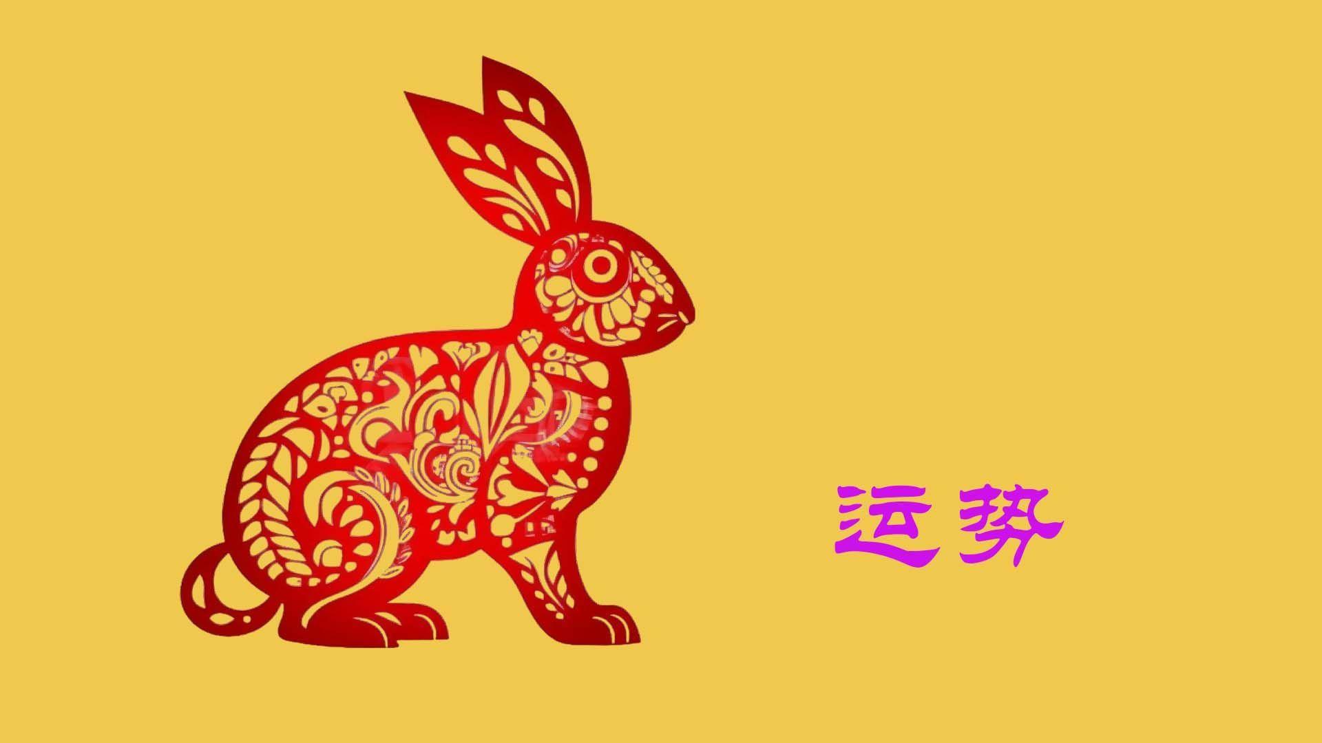 生肖兔5月份整体运势(属兔5月份运势)