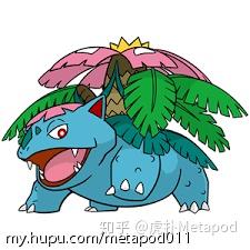 铁甲蛹原创 属性科普系列 御三家篇 水属性 刚柔并济 润物无声 知乎