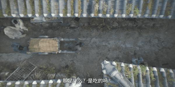 朴赞郁执笔新作《战,乱》,Netflix年度最爽韩国抗日片!