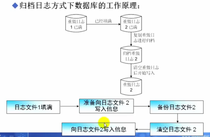 oracle数据库应用