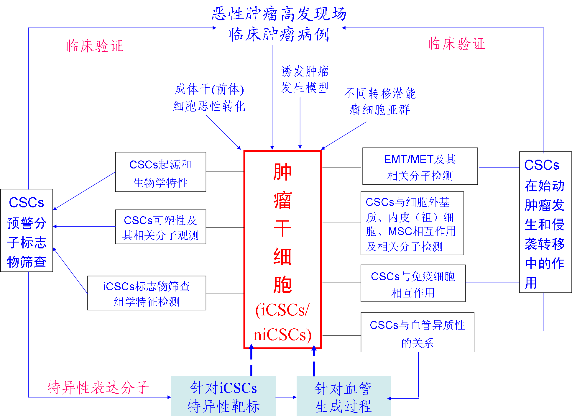 腫瘤幹細胞在惡性腫瘤發生發展中的作用及機理研究