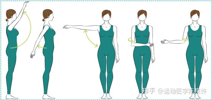 肩痛恶人谷中的头号高手竟是它