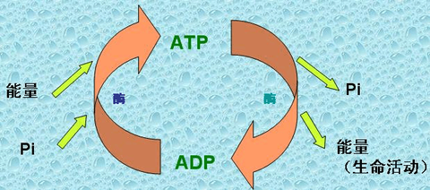 sunshinebeak - 知乎