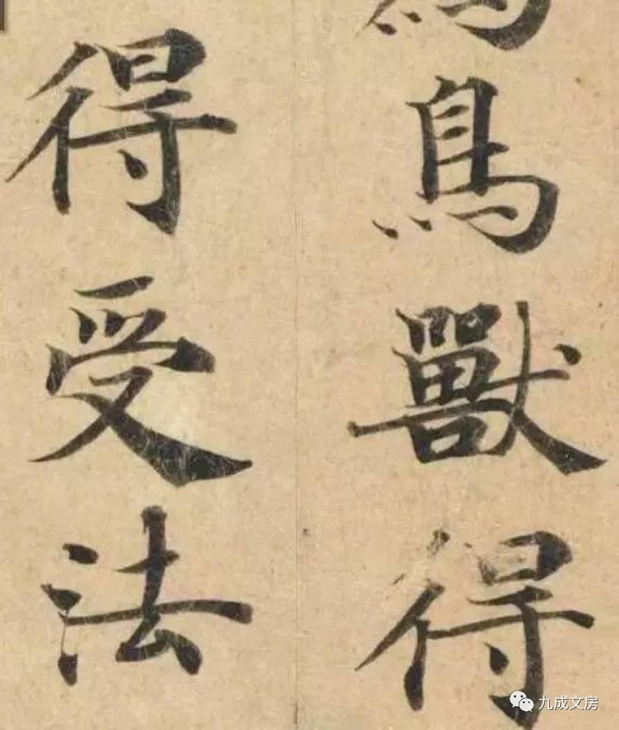 v2-2c863b66f0bb6f942106613ee7d607f4_r.jpg
