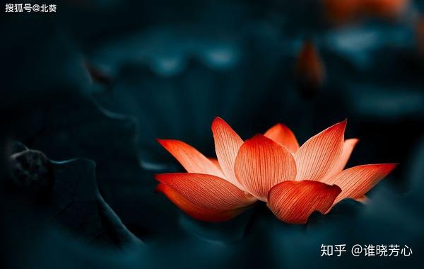 三昧耶戒 - 知乎