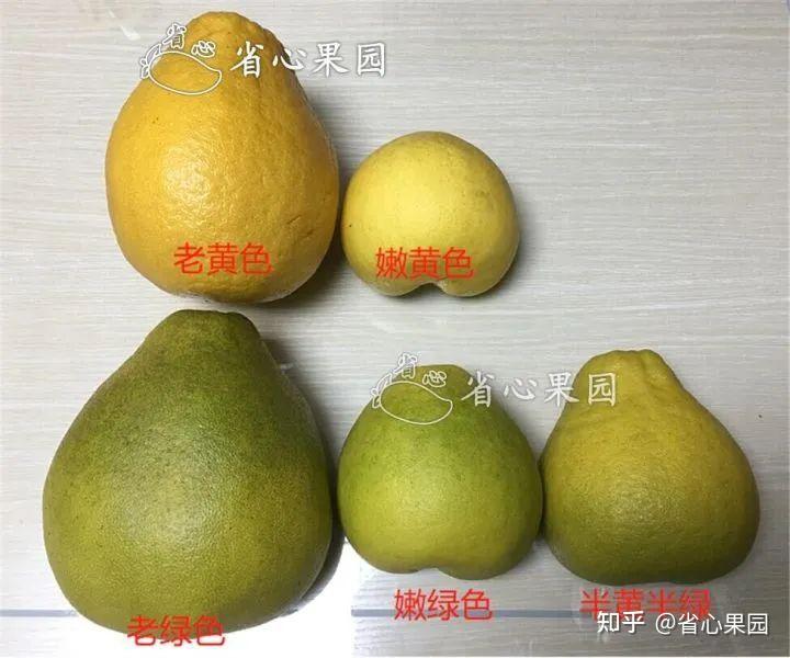 怎么挑到好柚子?掌握这4个秘诀,就不会再被坑啦 - 知乎