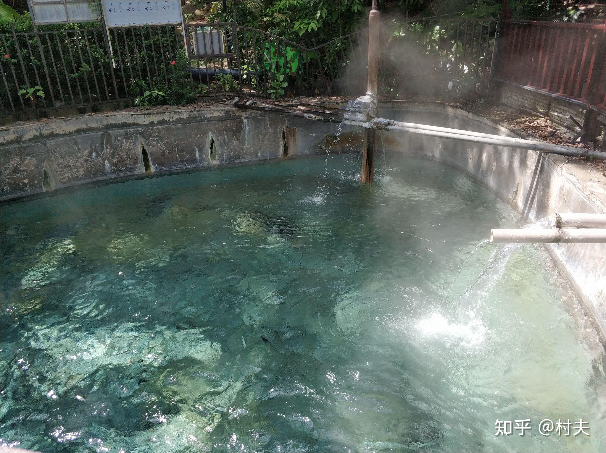 海南旅游实地体验保亭篇(二)——七仙岭 - 知乎