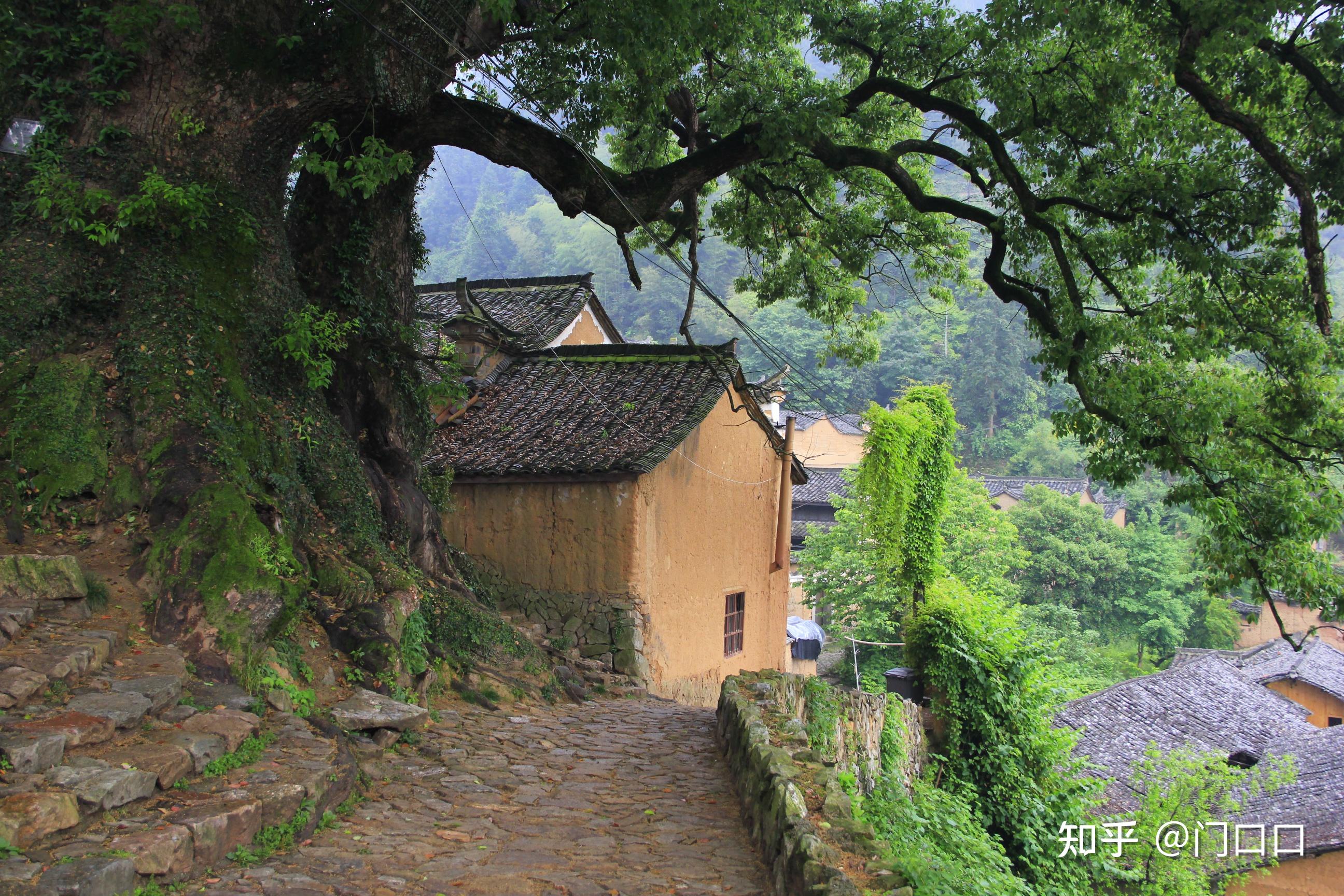 浙南村野行 - 知乎