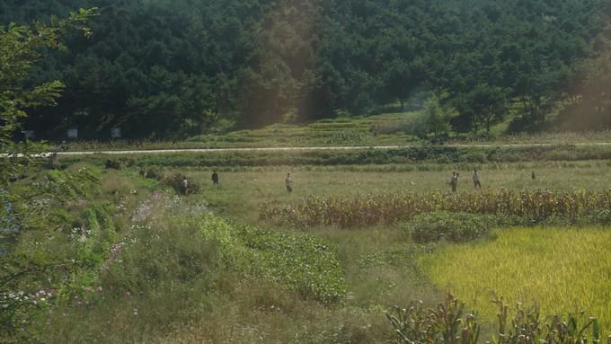 北朝鲜的四天三夜:穿越时间的地平线,告别异乡的“陌路人”