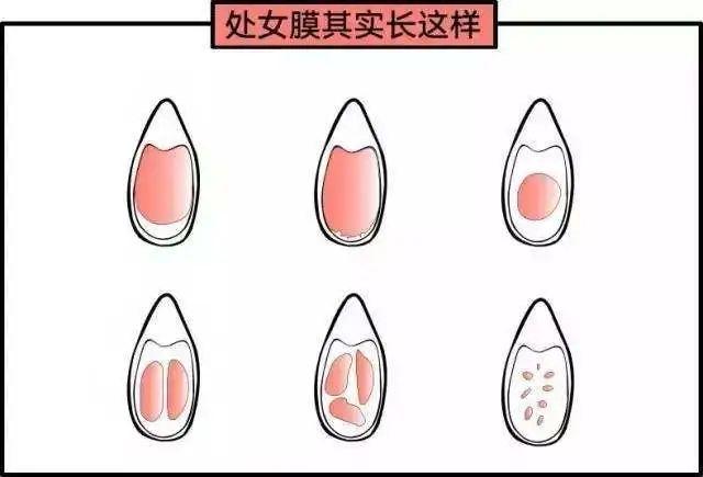 zhuanlan.zhihu.com