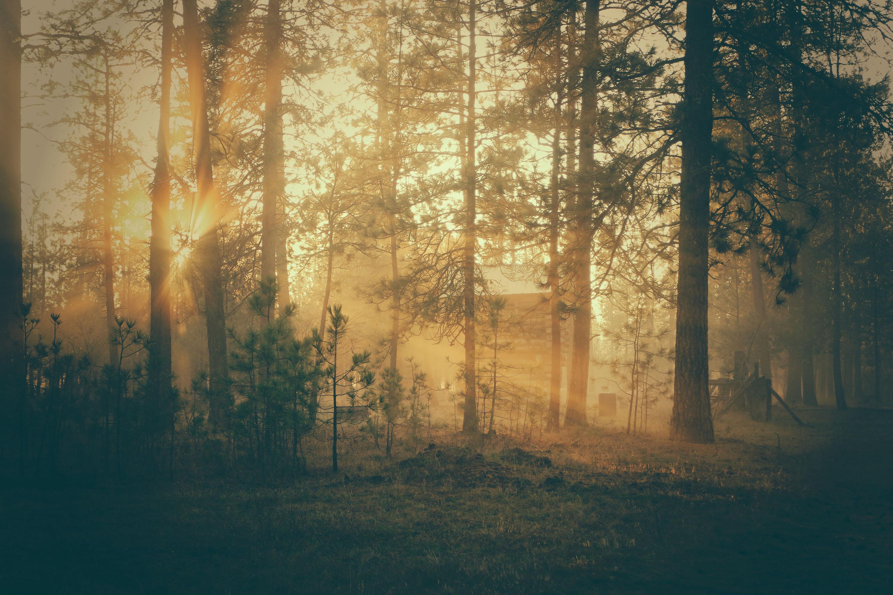 有哪些绝美的高清电脑壁纸