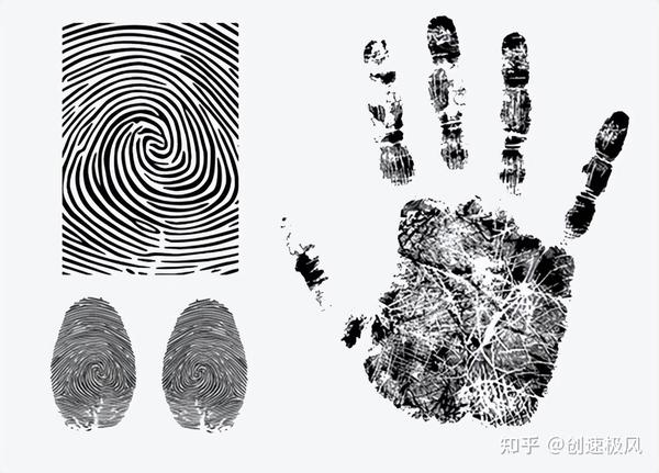 人类指纹的神秘之处,基因的诅咒还是未来的注定 - 知乎